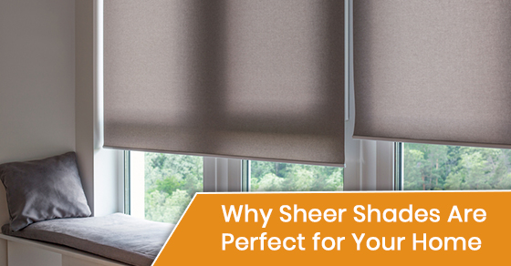 Why Sheer Shades Are Perfect for Your Home