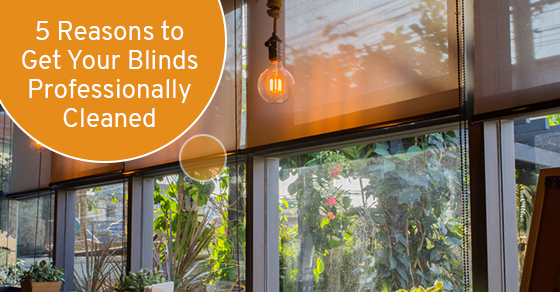 5 reasons to get your blinds professionally cleaned