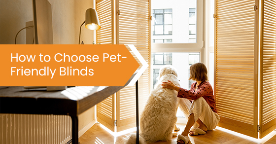 How to choose pet-friendly blinds